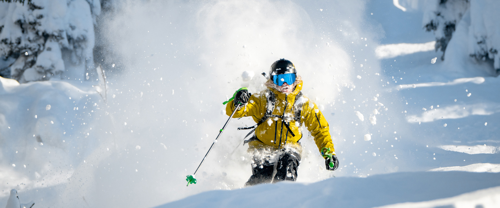 D0B5964A77ECEE288D8B8946D3E3DC57